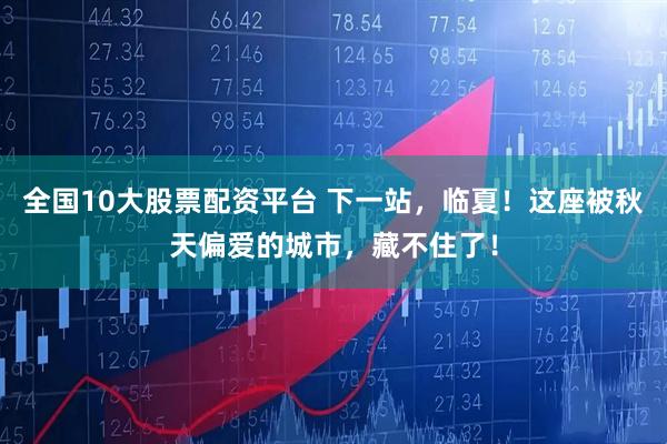 全国10大股票配资平台 下一站，临夏！这座被秋天偏爱的城市，藏不住了！